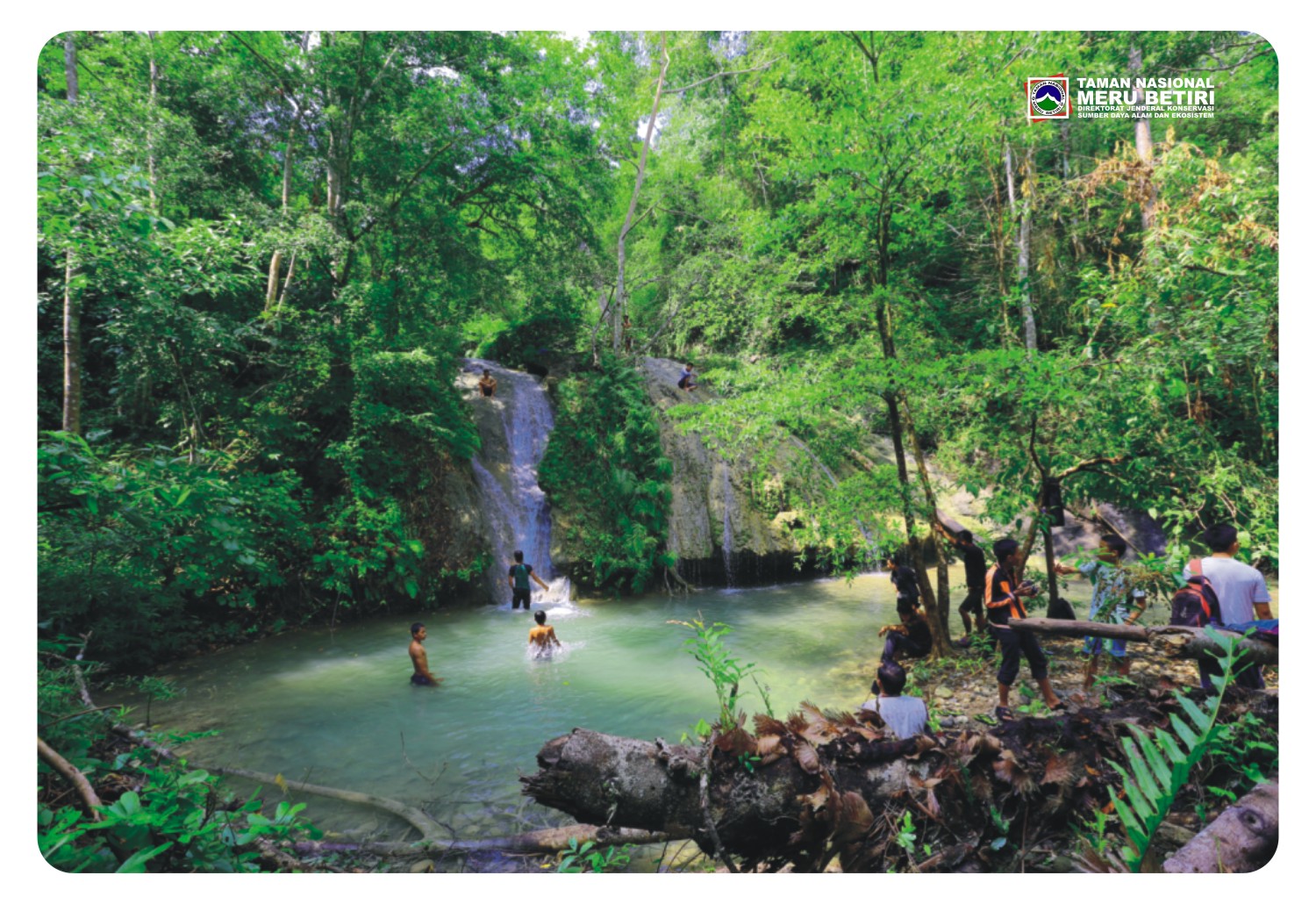 Galeri Taman Nasional Meru Betiri