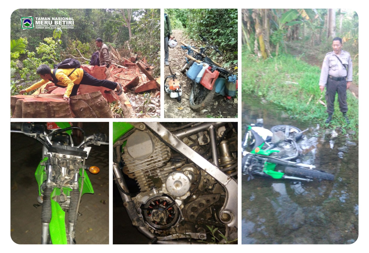 Motor Jagawana Dirusak Pelaku Illegal Logging Di Kawasan