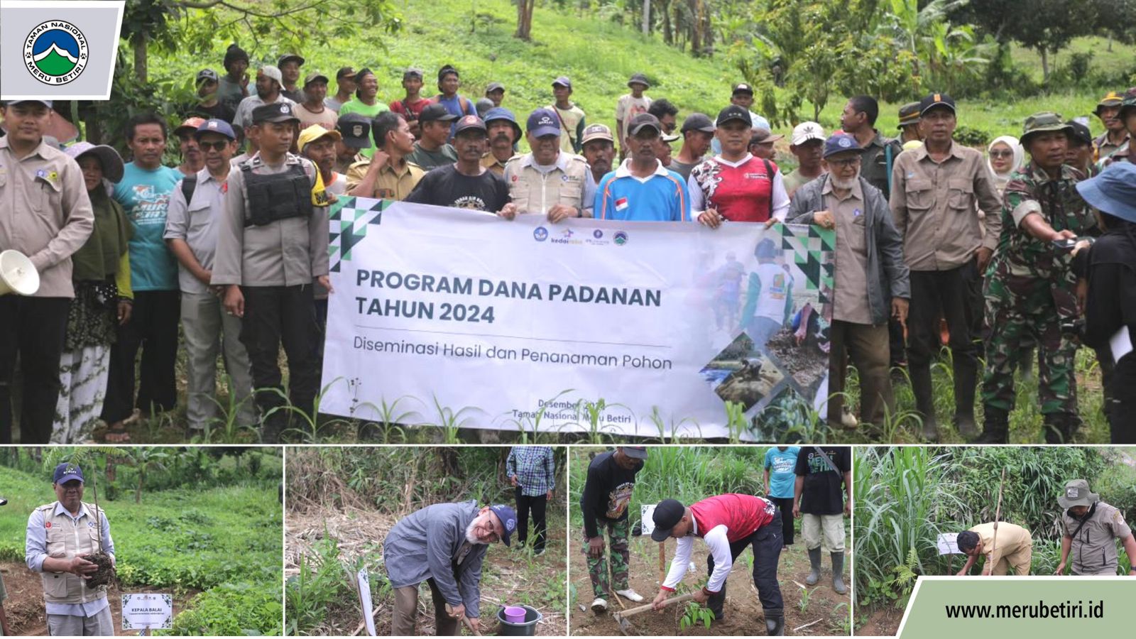 Program Dana Pandanan Tahun 2024 Desiminasi Hasil Penanaman Pohon