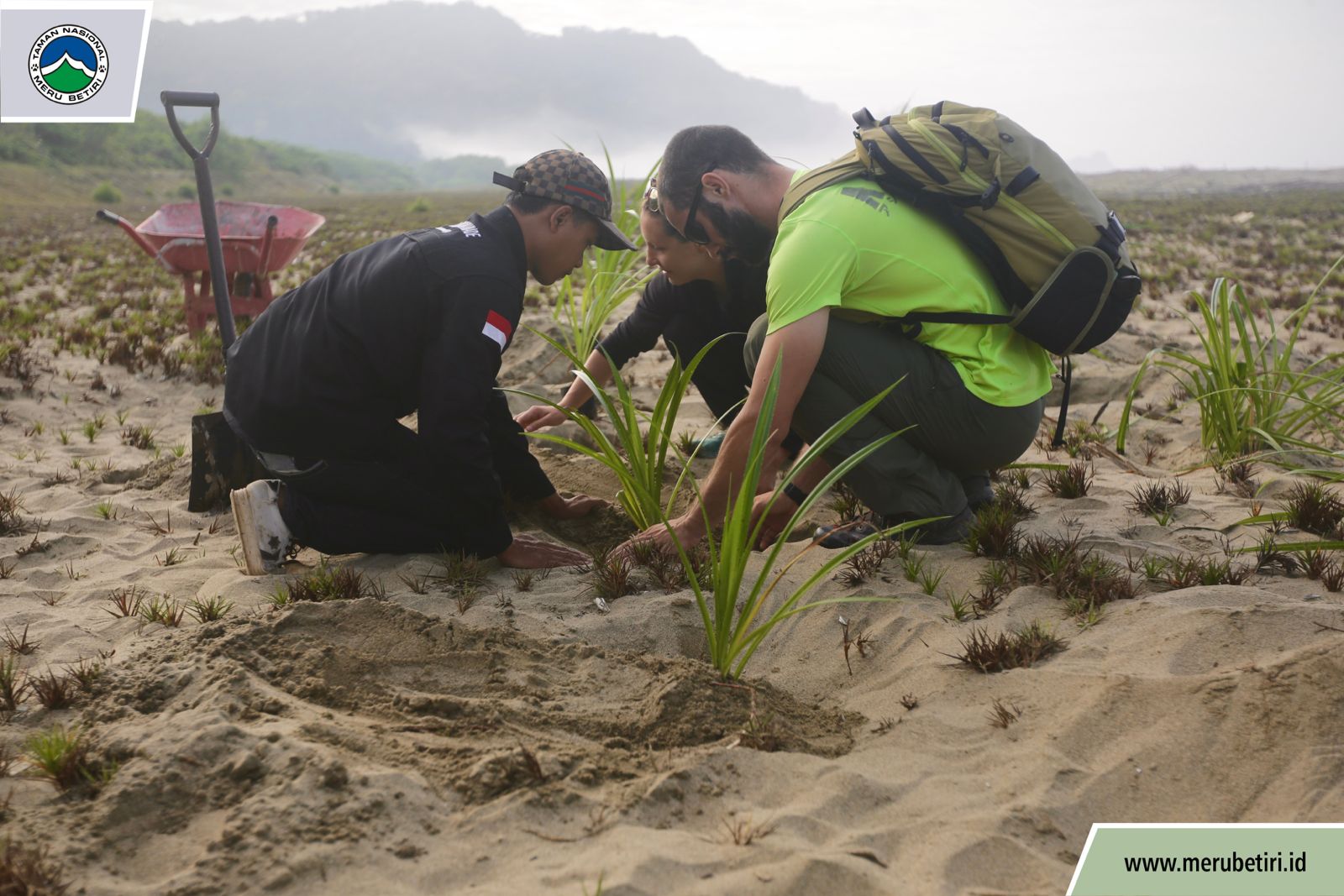 Gandeng Wisatawan, Balai Taman Nasional Meru Betiri Upayakan Kelestarian Lahan Basah Di Pantai Sukamade