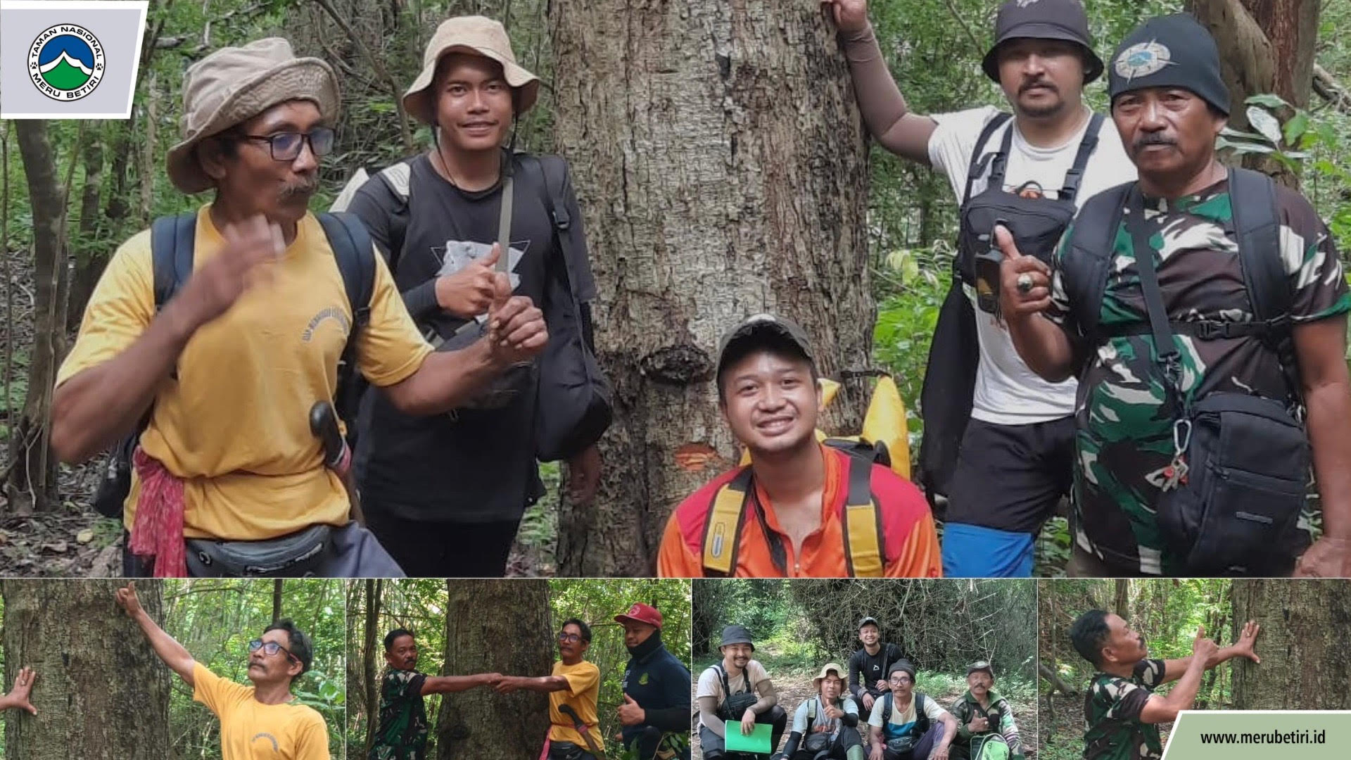 Monitoring Tanaman Langka Cassine dan Dehaasia pugerensis