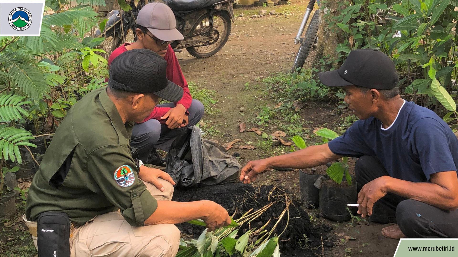 Tim Lapangan TNMB Kunjungi Kelompok LMDHK Wonomulyo, Monitoring Bibit Aren