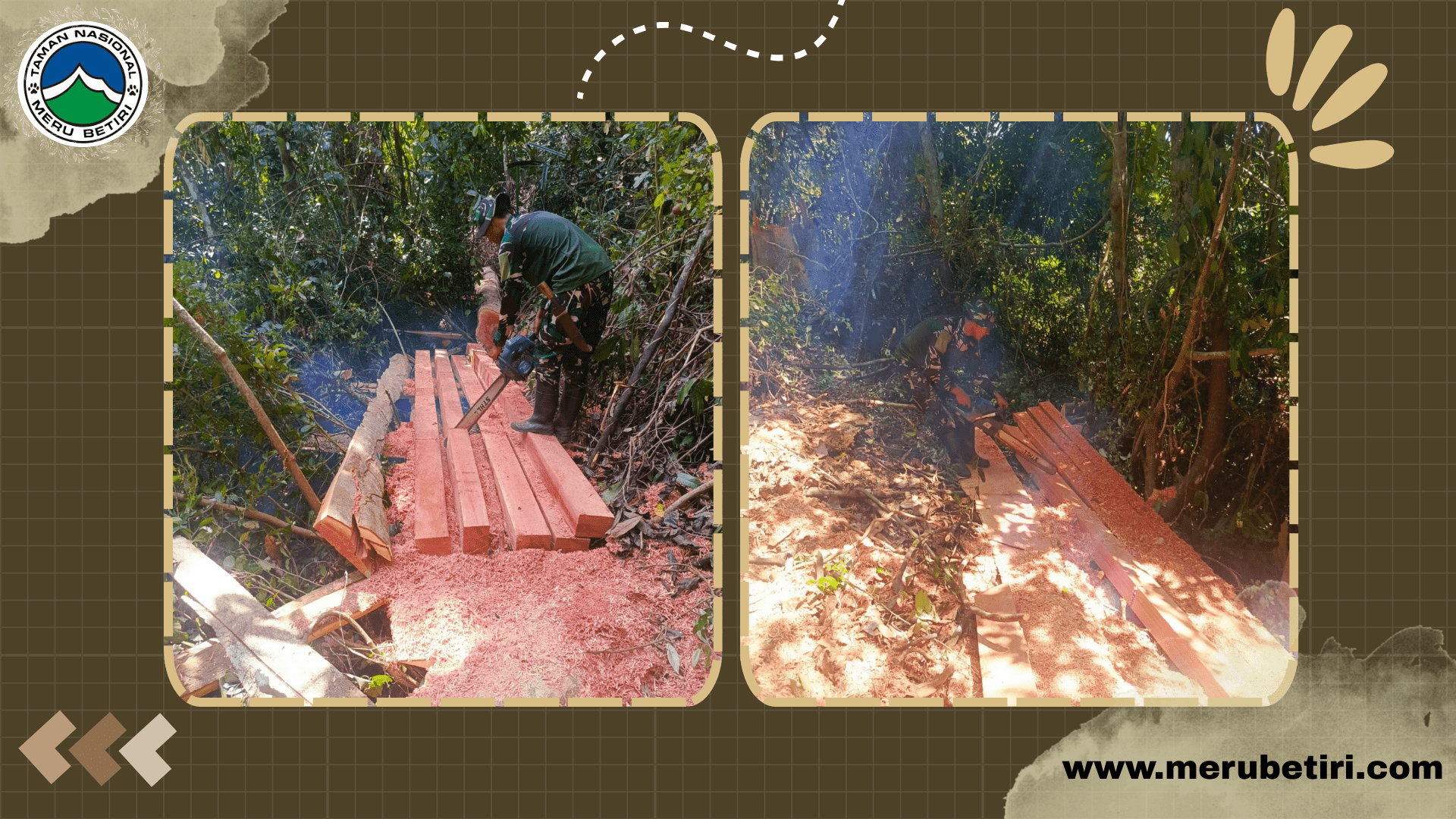 Hari Libur Dimanfaatkan Pelaku, Tim Patroli Gabungan Gagalkan Aksi Illegal Logging di TN Meru Betiri